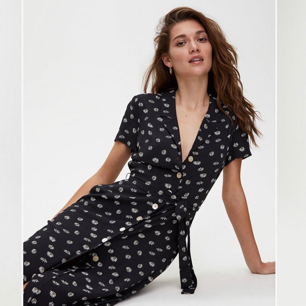 Aritiza Wilfred Shirt Dress